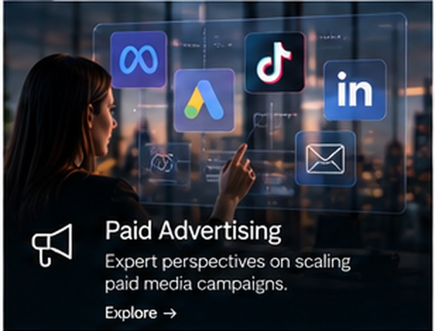 Paid advertising insights